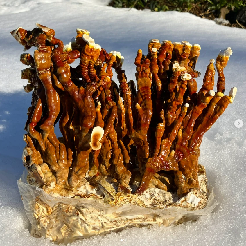 post mobile image