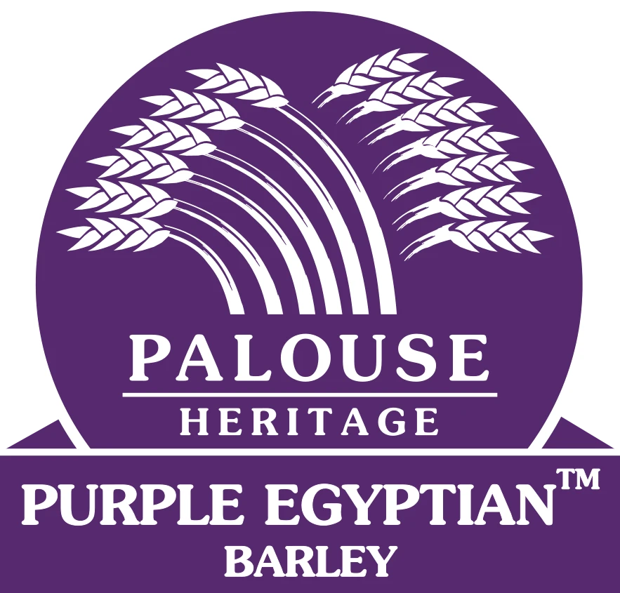 Palouse Heritage Purple Egyptian™ Barley