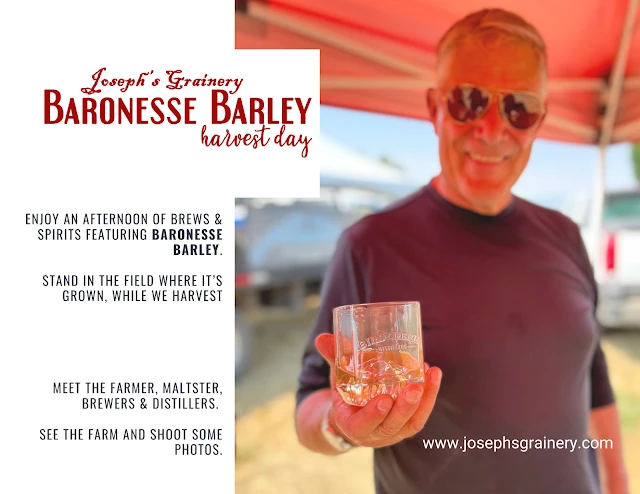 Baronesse Barley Harvest Day 2025