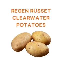 Regen Clearwater Russet Potatoes